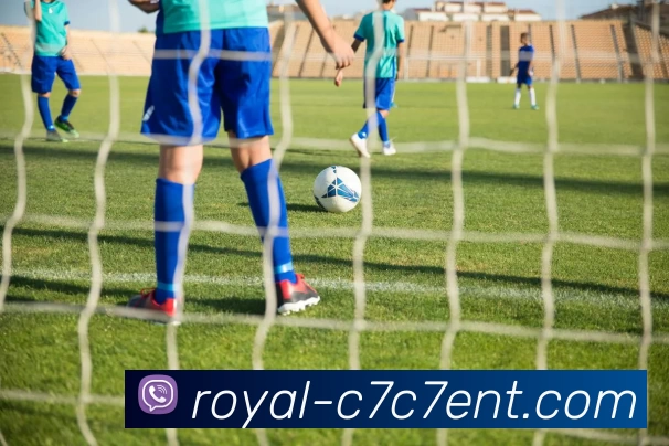 c7娱乐平台生态图